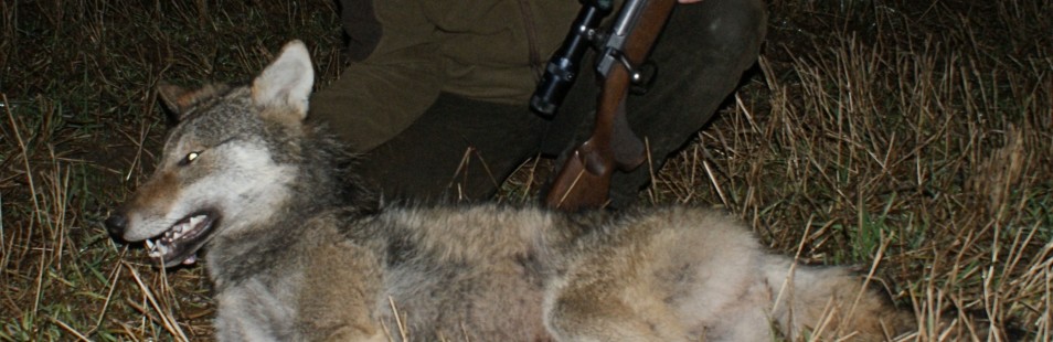 Global Hunting Agency